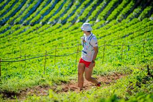 BIB: 
                            <button type="button" onclick="openModal(19161599)" class="btn btn-primary btn-sm float-right btn-popup" data-toggle="modal" data-target=".modal-high-quality">
                        <i class="fas fa-shopping-cart"></i> Add to Cart
                    </button>
                                            <button type="button" onclick="isThisMe(19161599, true)" class="btn btn-success btn-sm float-right btn-popup btn-isme hidden" data-toggle="tooltip" data-placement="bottom" title="นี่คือรูปของคุณใช่ไหม คลิกที่นี่เพื่อเอาเข้าอัลบั้ม">
                        <i class="fas fa-plus"></i> Add to album
                    </button>
                    <button type="button" onclick="isThisMe(19161599, false)" class="btn btn-warning btn-sm float-right btn-popup btn-isnotme hidden">
                        <i class="fas fa-ban"></i> Remove from album
                    </button>